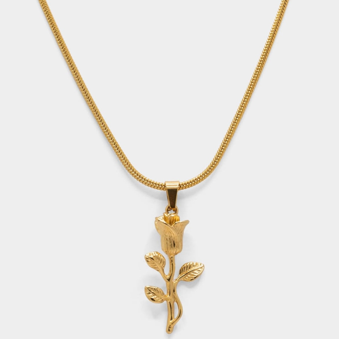 Golden Rose