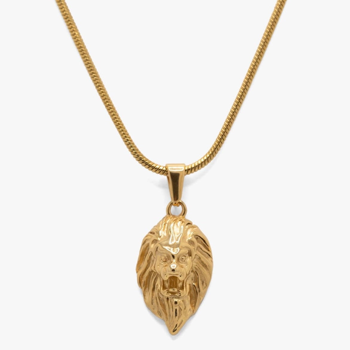 Golden Lion’s Head