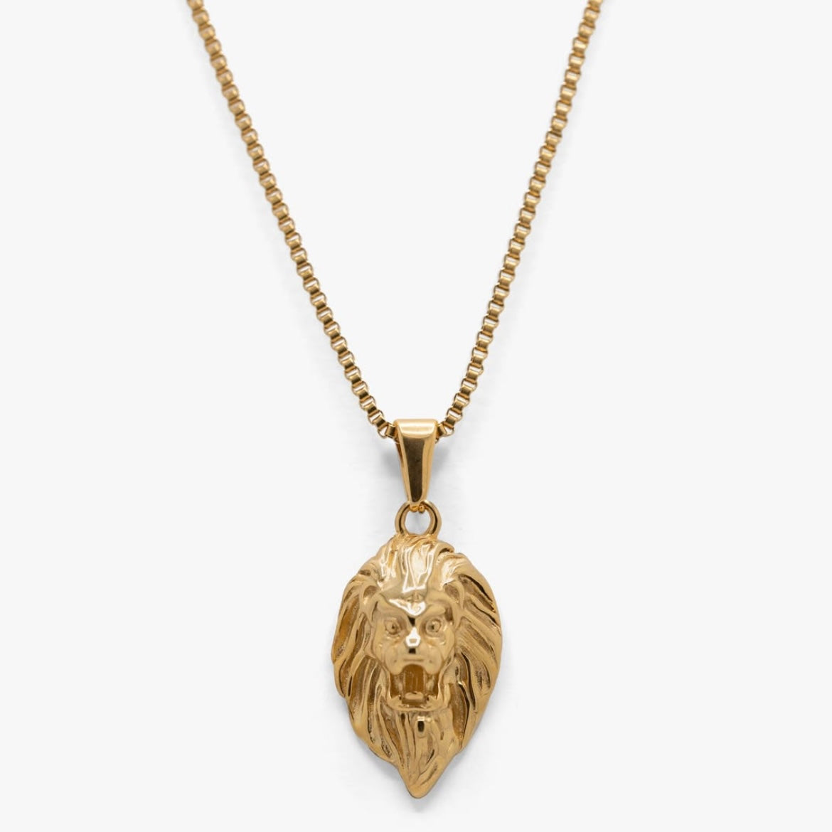 Golden Lion’s Head