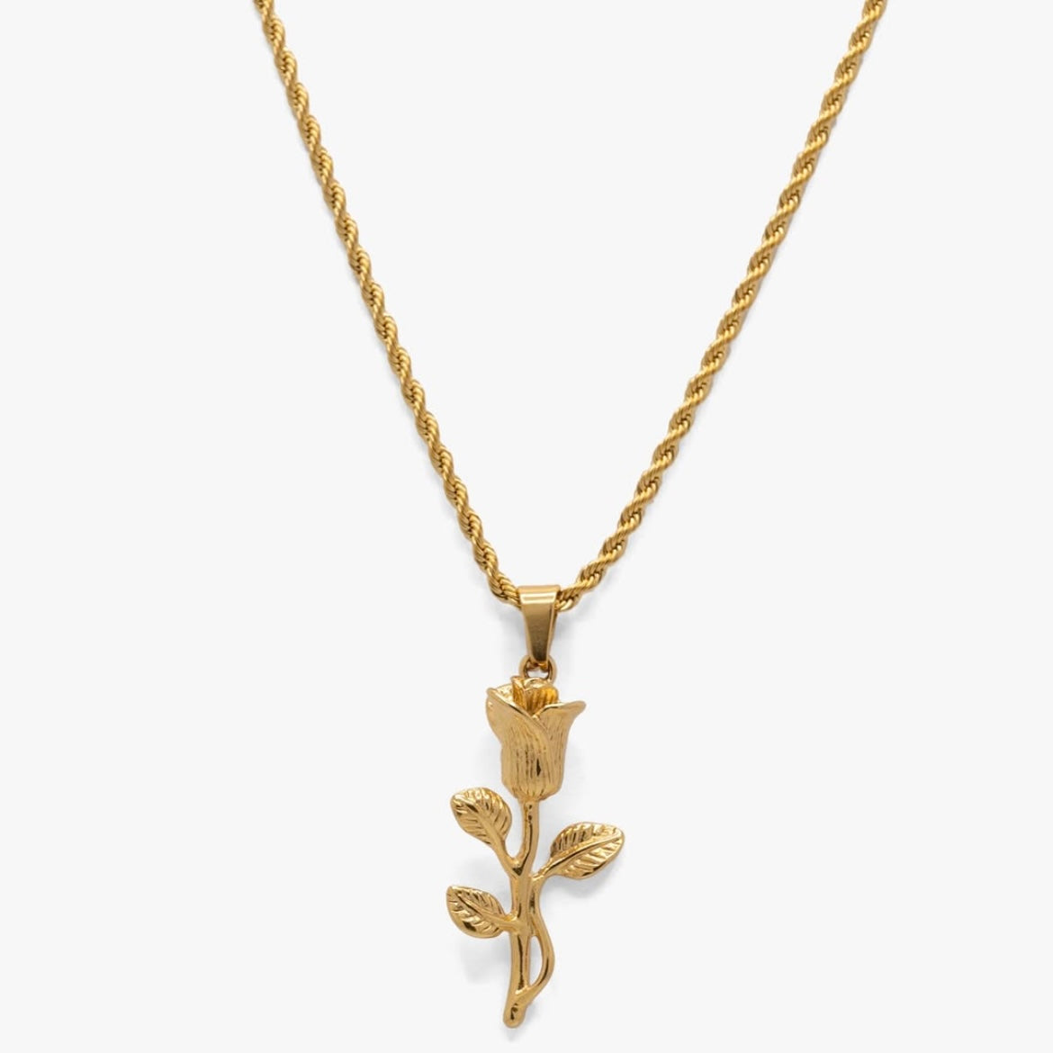 Golden Rose
