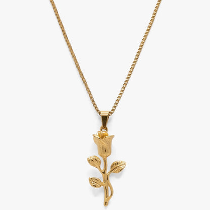 Golden Rose