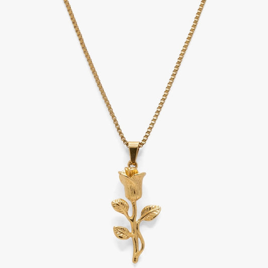 Golden Rose