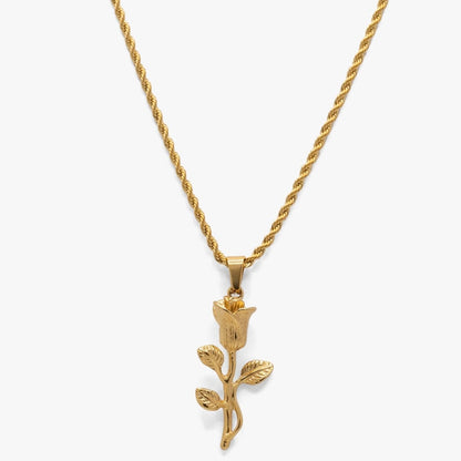 Golden Rose